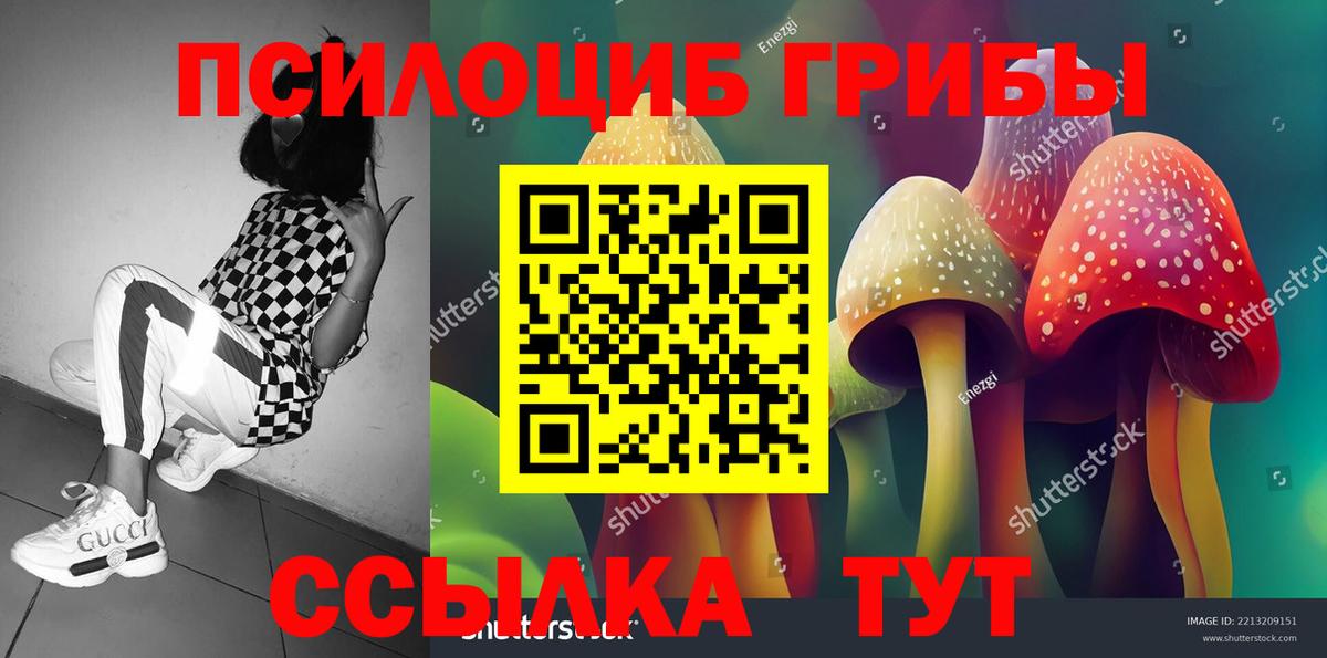 Псилоцибиновые грибы MAGIC MUSHROOMS Карпинск