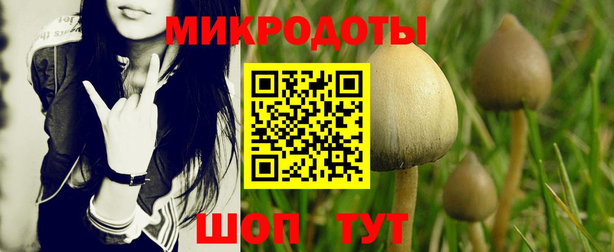 Псилоцибиновые грибы Magic Shrooms  Вход с VPN  Карпинск  Галлюциногенные грибы мицелий 